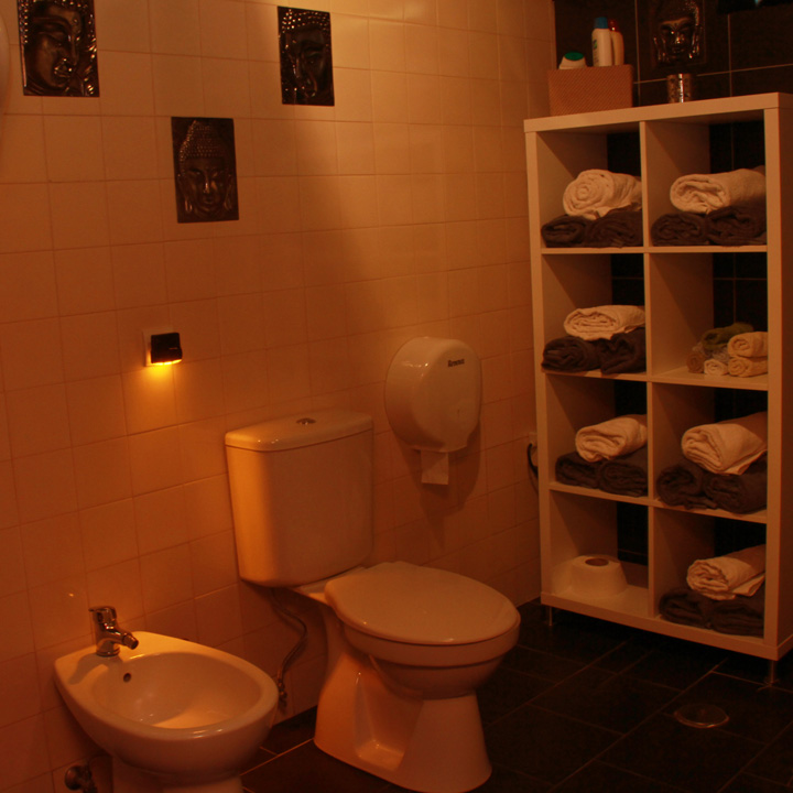 Toilets-4